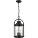 Livingston 3 Light 8.88 inch Powder Coated Black Outdoor Hanging Lantern